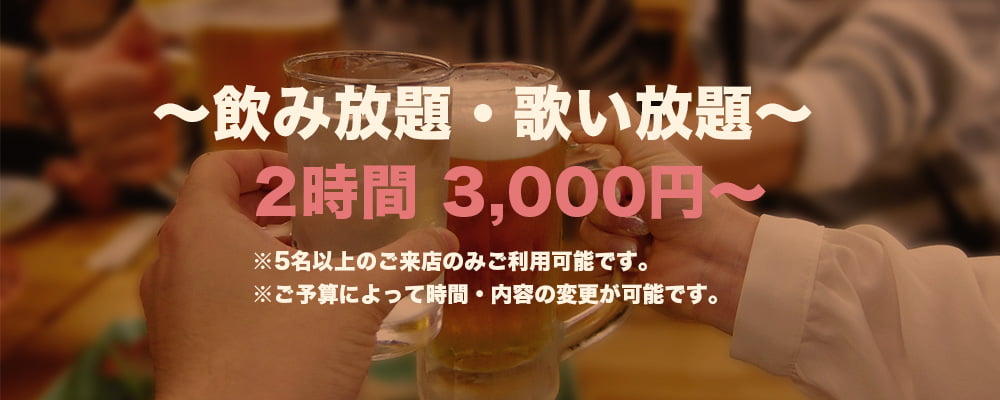 ～飲み放題・歌いたい放題～2時間 3,000円