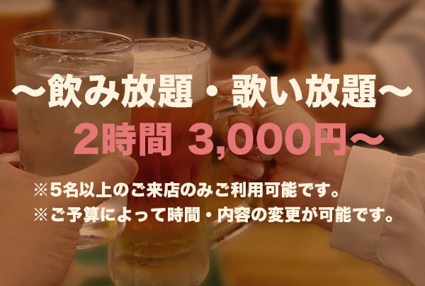 ～飲み放題・歌いたい放題～2時間 3,000円